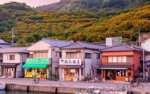 八幡浜の港町に並ぶ中小企業の店舗とみかん畑が広がる風景、地域密着ビジネスの診断イメージ